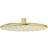 Damixa Silhouet (7666377) Guld