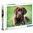 Clementoni High Quality Collection Chocolate Puppy 500 Bitar