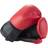 Angel Sports Boxing Gloves 10oz Jr