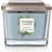 Yankee Candle Coastal Cypress Medium 3 Wick Doftljus 347g