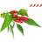 Click and Grow Smart Garden Piri Piri Chili Pepper Refill 3 pack Grøntsagsfrø