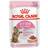 Royal Canin Sterilised Kitten Gravy