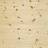 DalaFloda SoftPine Economy 6152111300