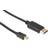 Iiglo DisplayPort- DisplayPort Mini 1.2 2m