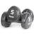 Tiguar Vinyl Dumbbell 2x5kg