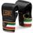 Leone Italy Boxing Gloves GS090 S