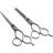Pro Hairdressing Scissors 2-pack