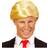 Widmann American President Wig
