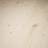 DalaFloda SoftPine Dolomit 6152513701 Pine Solid Wood Floor