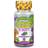 Kal DinoSaurs Jurrasic Echinacea 30 st
