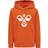 Hummel Cuatro Hoodie - Koi (204743-3042)