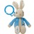 Rainbow Designs Peter Rabbit Jiggle Attachable