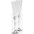 Wedgwood Vera Wang with Love Champagneglas 2st