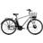 Ecoride Ambassador HS H-7 2022 Silver Herrcykel