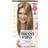 Clairol Nice'n Easy #7 Dark Blonde