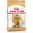 Royal Canin German Shepherd Adult 5+ Dry Dog Food 12kg