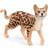 Schleich Bengalkat 13918