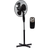 VO0606
