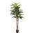 Europalms Kentia Palm Dekoration