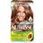 Garnier Nutrisse Cream #6.3 Golden Light Brown