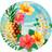 Boland Plates Paradise 6-pack