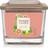 Yankee Candle Jasmine & Pomelo Medium Scented Candle 347g