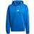 adidas Sportswear Loose Fit Hoodie - Football Blue