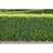 Piardino Hedge Box Boom