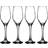 Ravenhead Majestic Champagne Glass 21cl 4pcs