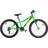 Dino Plus 24 - Green Barncykel