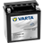 Varta Powersports AGM YTX20CH-BS