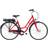Raleigh Darlington 317Wh 2021