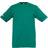 Uhlsport Camiseta Teamsport - Vert