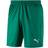 Puma Liga Core Shorts Men - Pepper Green/White