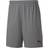 Puma teamGOAL 23 Knit Shorts Men - Steel Grey