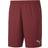 Puma teamGOAL 23 Knit Shorts Men - Cordovan