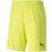 Puma teamGOAL 23 Knit Shorts Men - Fluo Yellow/Black