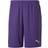 Puma teamGOAL 23 Knit Shorts Men - Prism Violet