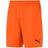 Puma teamGOAL 23 Knit Shorts Men - Golden Poppy