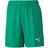 Puma teamGOAL 23 Knit Shorts Kids - Pepper Green