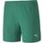 Puma teamGOAL 23 Knit Shorts Women - Pepper Green