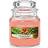 Yankee Candle The Last Paradise Small Duftlys 104g