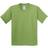 Gildan Heavy Cotton T-Shirt Pack Of 2 - Kiwi (UTBC4271-66)