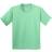 Gildan Heavy Cotton T-Shirt Pack Of 2 - Mint Green (UTBC4271-161)