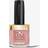 Pronails LongWear Colour Nail Polish #131 Silk Market 10ml
