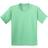 Gildan Youth Heavy Cotton T-Shirt - Mint Green (UTBC482-161)