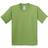 Gildan Youth Heavy Cotton T-Shirt - Kiwi (UTBC482-66)