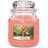 Yankee Candle The Last Paradise Duftlys 411g