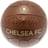 Chelsea FC Leather Football