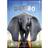Dumbo (DVD) {2019}